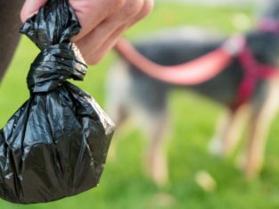 Get Dog Waste Bag Dispensers From Us | Garbage Bags